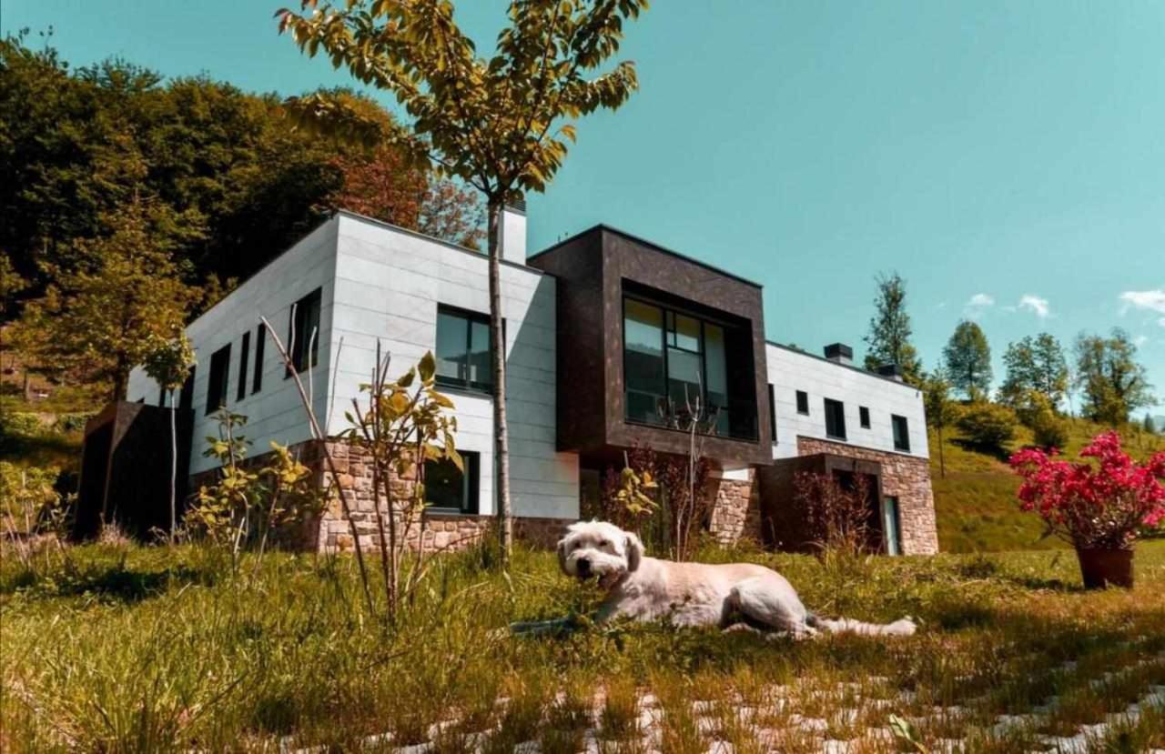 Apartament Bergaretxe Geltokia Legazpia Zewnętrze zdjęcie