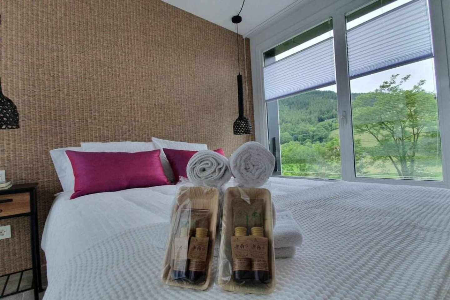 Apartament Bergaretxe Geltokia Legazpia Zewnętrze zdjęcie